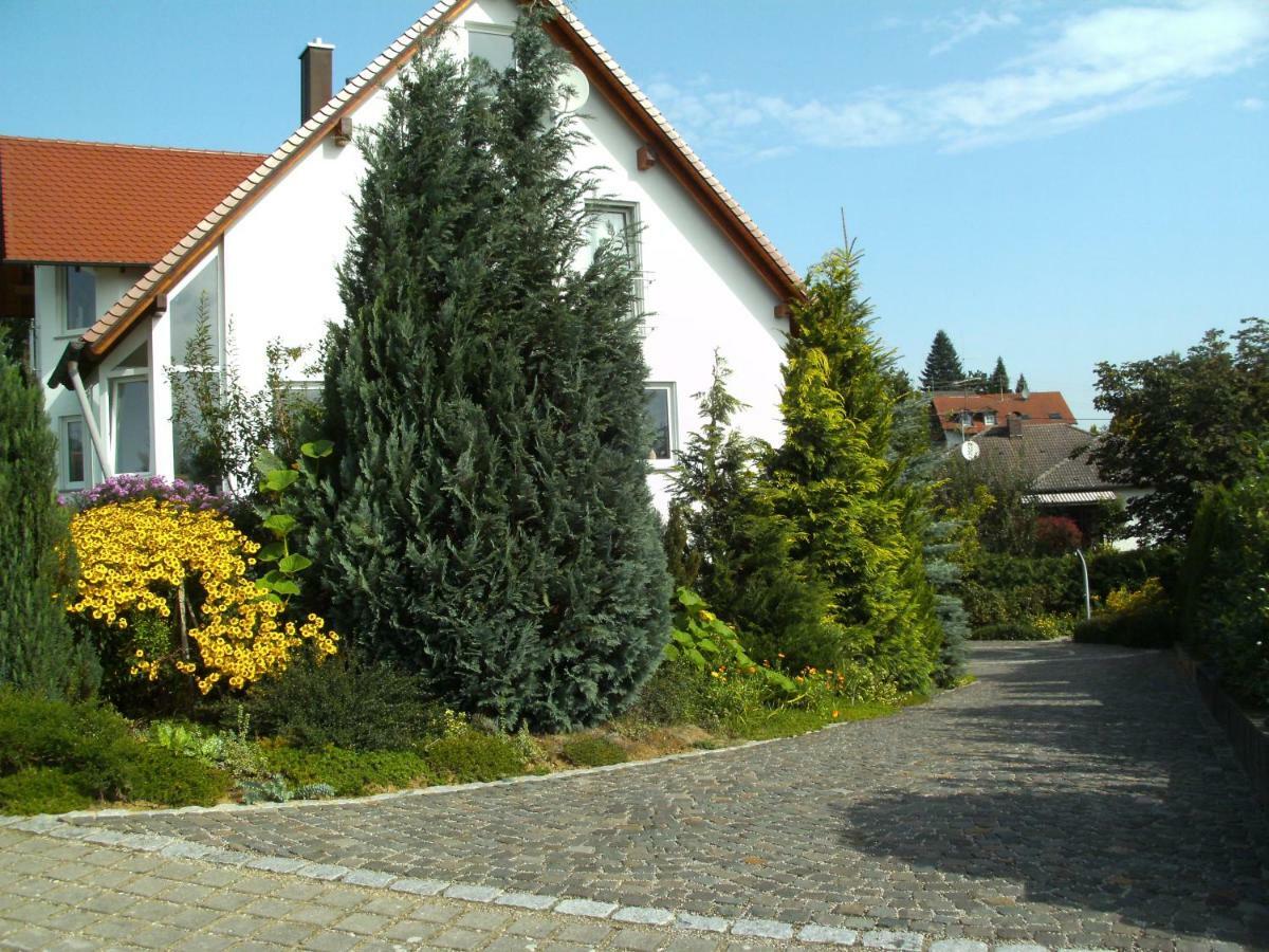 Ferienwohnung Belisa บัวร์เกา ภายนอก รูปภาพ